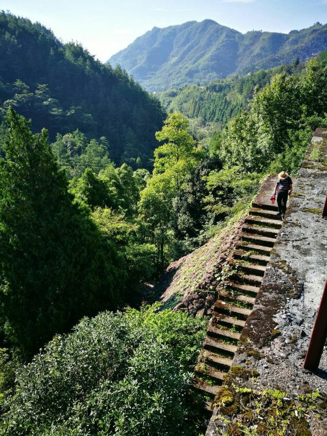 天目山大树王景区攻略,天目山大树王景区门票/游玩