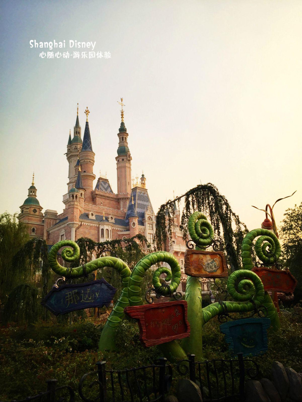 shanghai disney - 迪士尼度假区游记攻略【携程攻略】