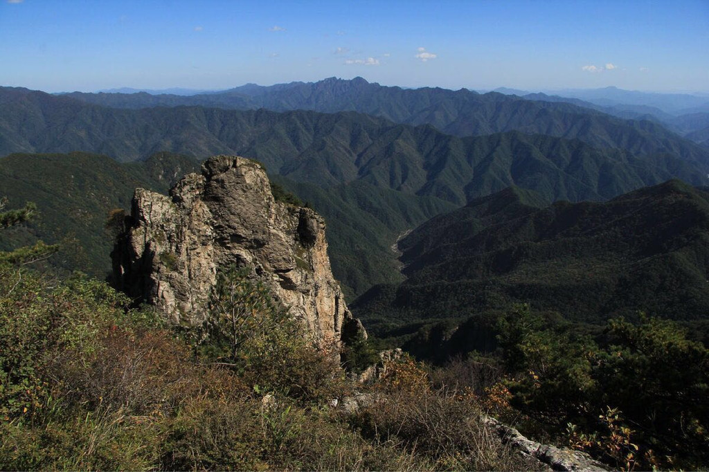 秦岭牛背梁国家森林公园