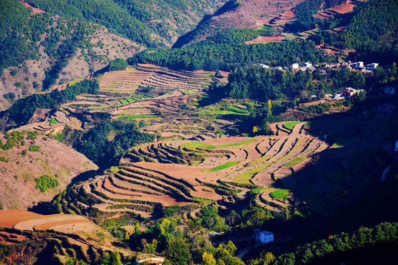 2017首次旅行:在元阳梯田,东川红土地看最斑斓色彩