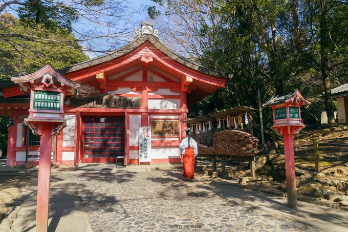 庄周梦蝶,仿佛还未出发—京阪神奈