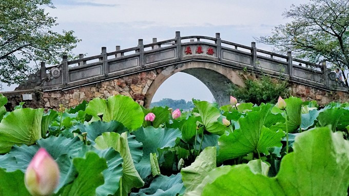 天青色等烟雨,我在无锡鼋头渚等你(鼋头渚两日游全攻略)