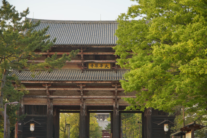 东大寺位于奈良公园北侧,又称大华严寺,金光明四天王护国寺等