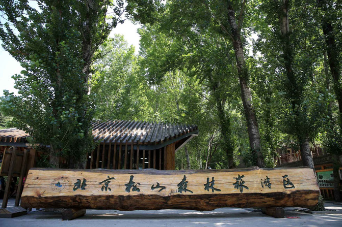 北京周边游—延庆松山国家森林公园