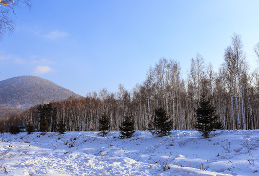 冬季到小兴安岭来看雪
