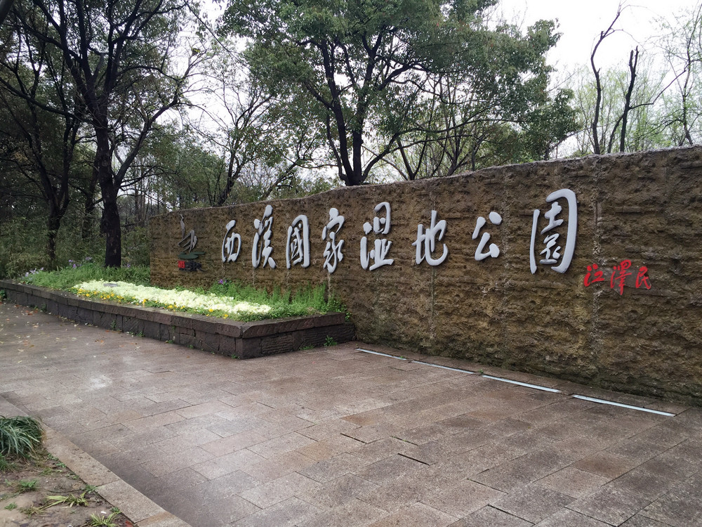 杭州西溪湿地游记攻略,国家5a风景区,领略四季风光!