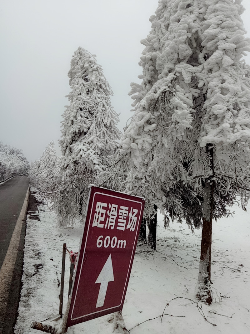 武隆仙女山#南方人的一次雪景洗礼