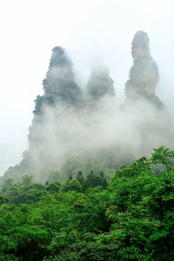【了解更多张家界及湖南旅游精彩内容,敬请关注公众号《张家界时光自驾游》或咨询:188 7449 8851如有喜欢的内容,欢迎收藏并分享给您的亲友】 深圳到张家界的高铁还没有开通(据说张家界明年就可以通高铁了),深圳到张家界现在只有火车、汽车、飞机三种方式,火车到张家界要20个小时差不多,深圳到张家界汽车也要13-14个小时。 这次张家界5月8号-12号的大概行程是: 第一天:深圳到张家界市区 第二天:张家界市区-张家界国家森林公园 第三天:-张家界国家森林公园 第四天:张家界-深圳 第一天:深圳的航班