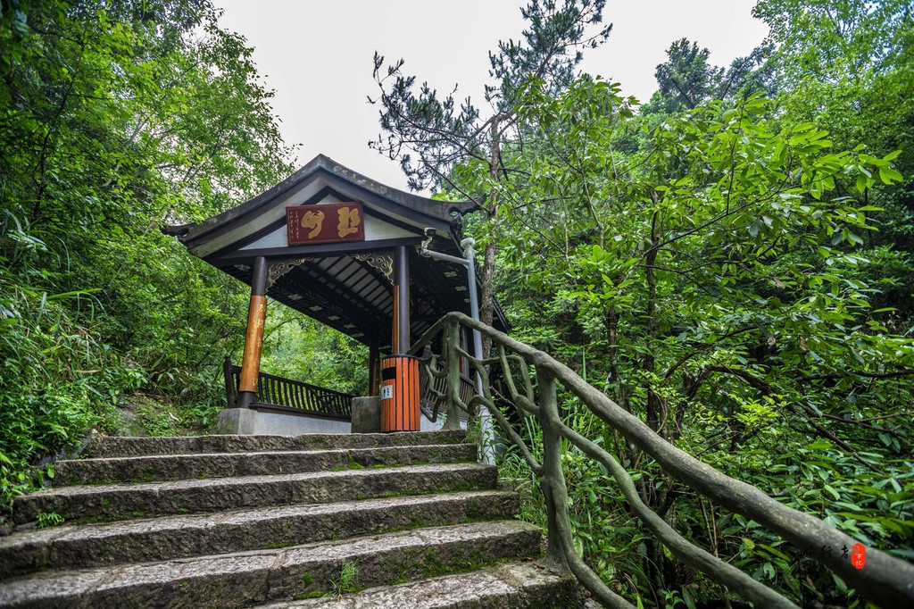 遂昌!浙江的旅游新星,带你走近4天自驾全攻略,2000元玩转6大景区