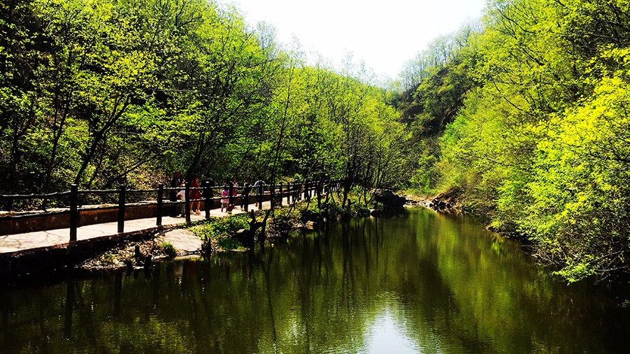 从汝州城区自驾,沿途山峰耸峙,怪石危崖比比皆是,道路两旁大片大片