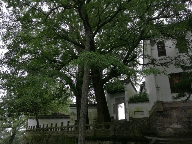 湖南【陪老人】深度休闲自驾游全攻略之三:衡阳不只有南岳衡山(1~3日