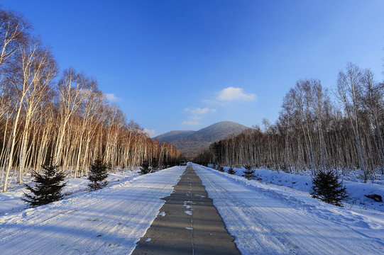 冬季到小兴安岭来看雪