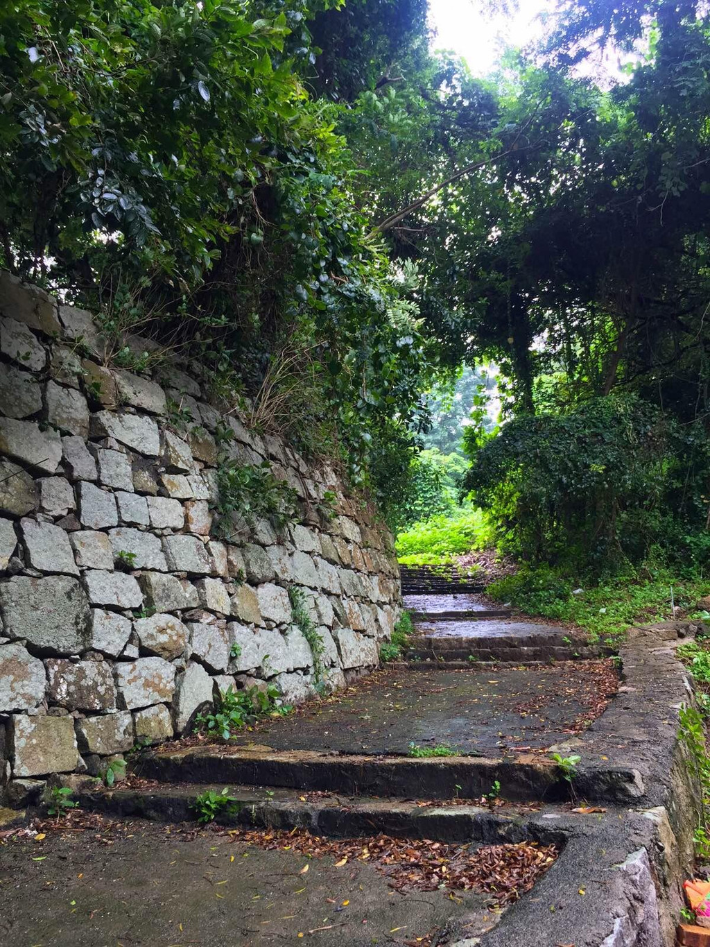 凤岗古村