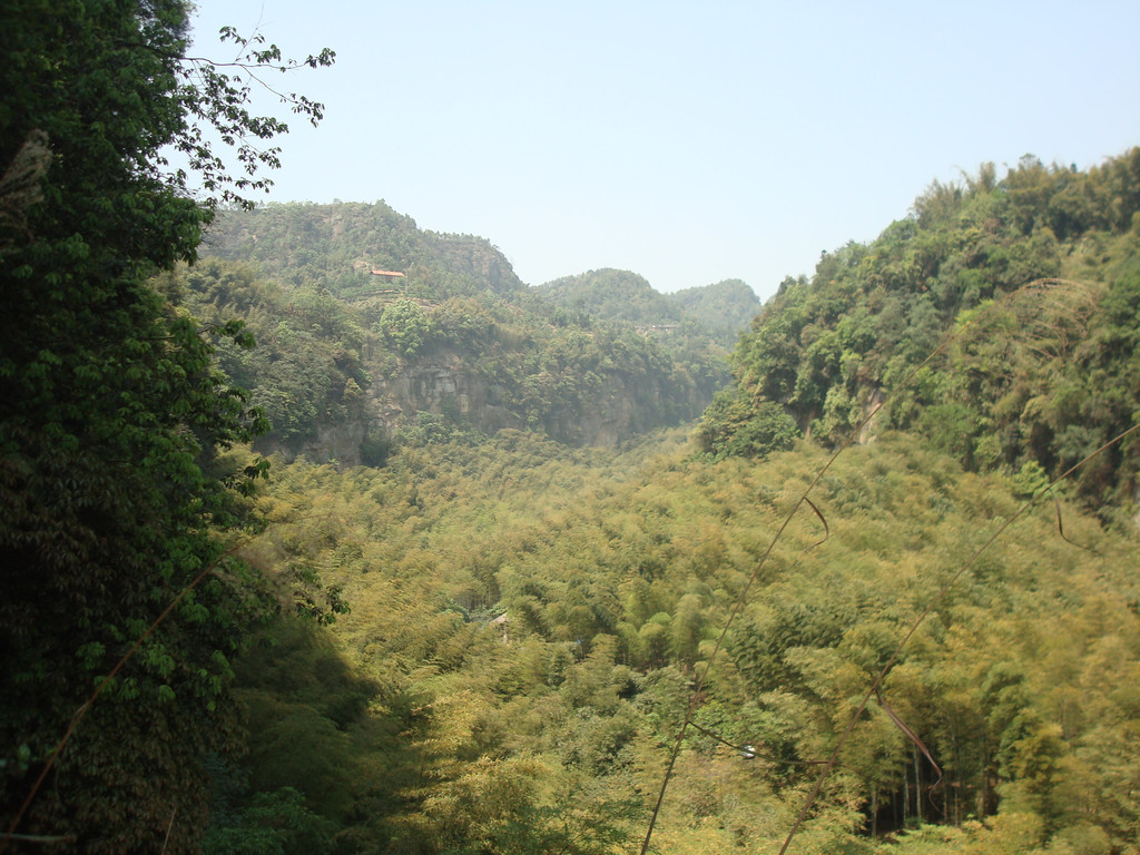 隐藏在荣县深山里的花龙沟竹海