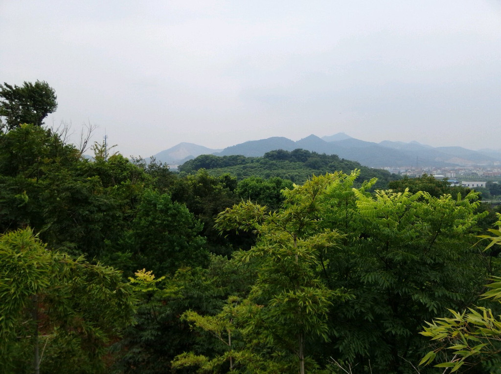              从半山腰远眺皋亭山