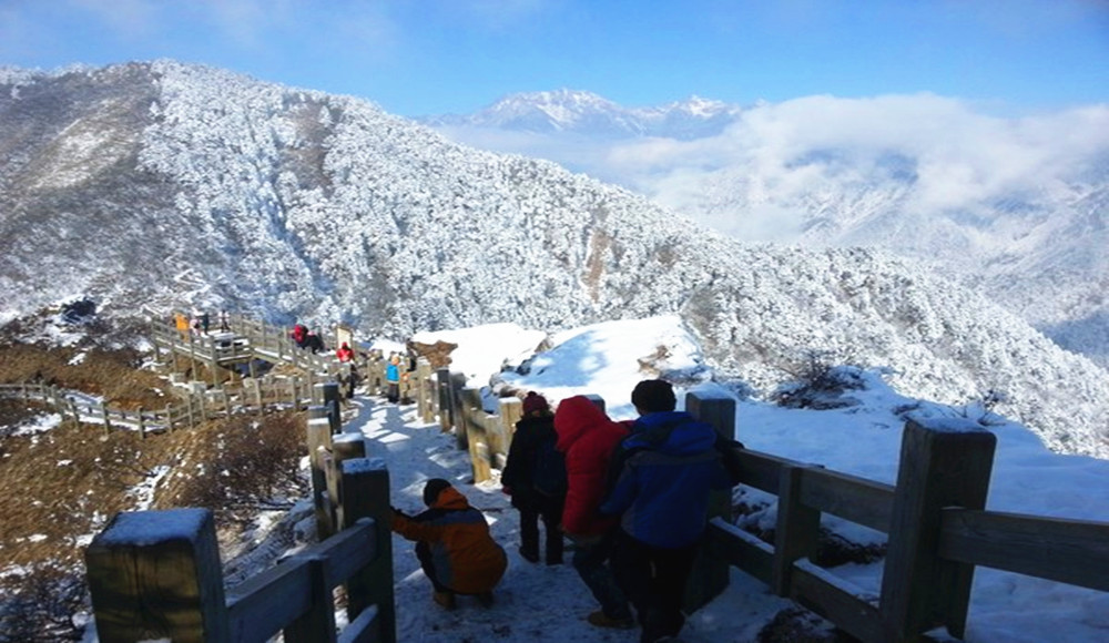 那一年"川"梭中的回忆:足迹四川大邑西岭雪山-西岭雪山滑雪场