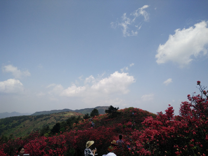 穿越十里花海——浙江衢州绿春湖自由行一日游记