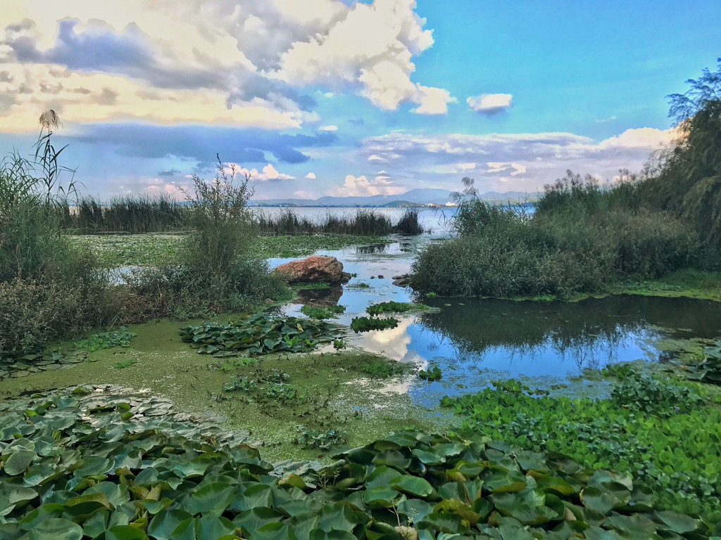 大自然的氧吧,不容错过的美景——昆明大东河湿地公园