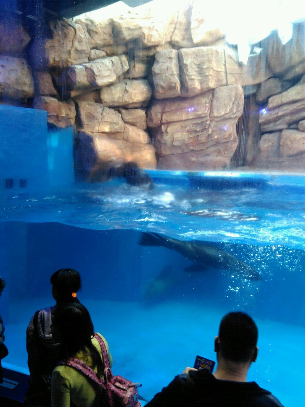 抚顺极地海洋馆