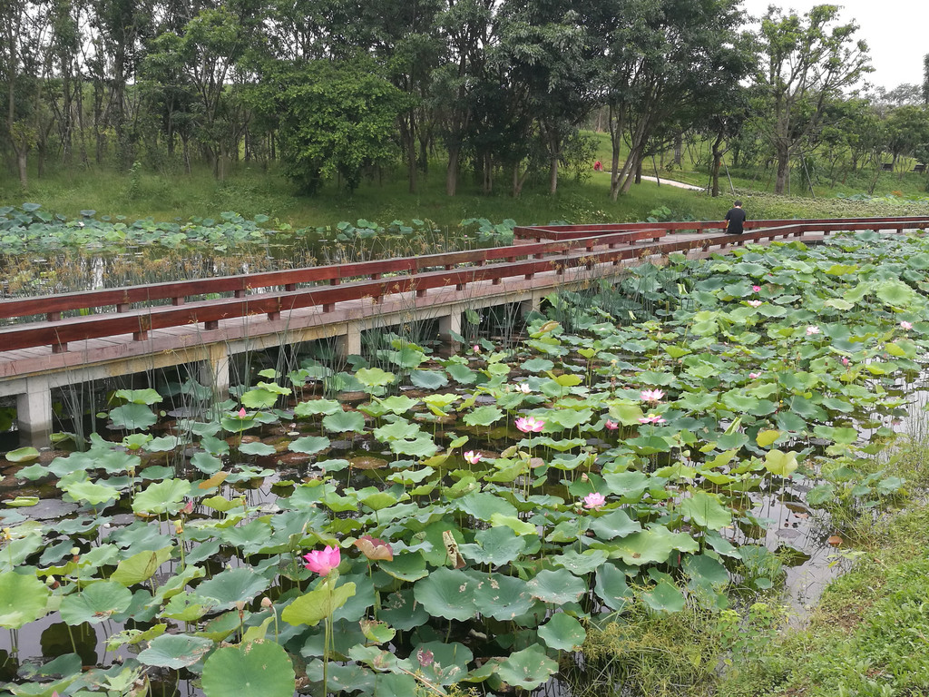 明蜀十陵和周边湿地游