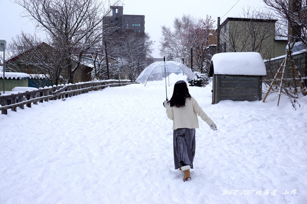 2017年冬天,去北海道看雪!泡温泉! 札幌~小樽~星野~登别~洞爷湖