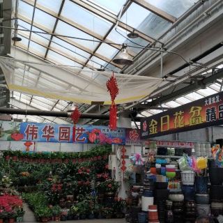 哈尔滨市花卉大市场