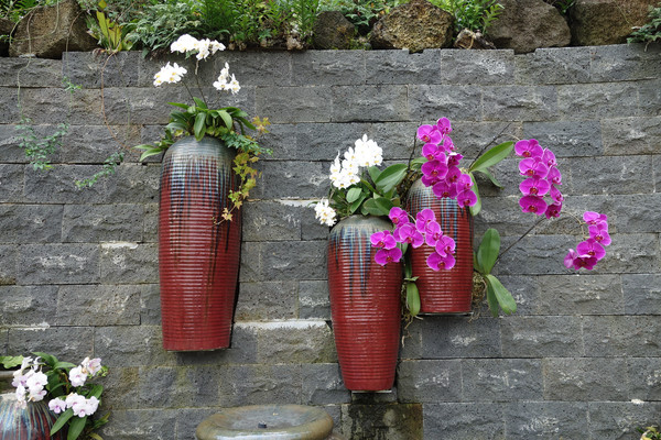 盆景区的【兜兰花瀑】 利用陶罐,景石,兰花镶嵌于一道高3米长80米蜿蜒