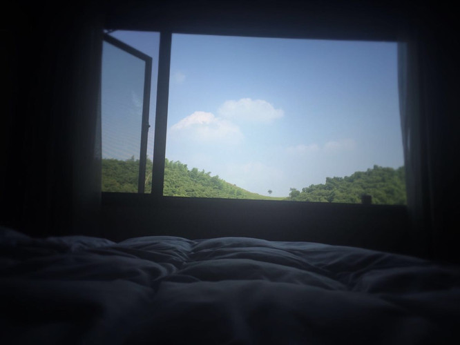   窝在床上,看窗外美景,那棵孤独
