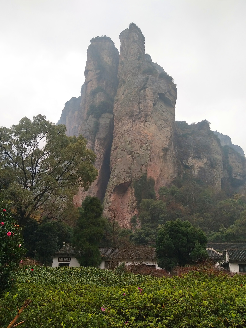 旅行日记之 宁波 雁荡山 三日游 上海进出