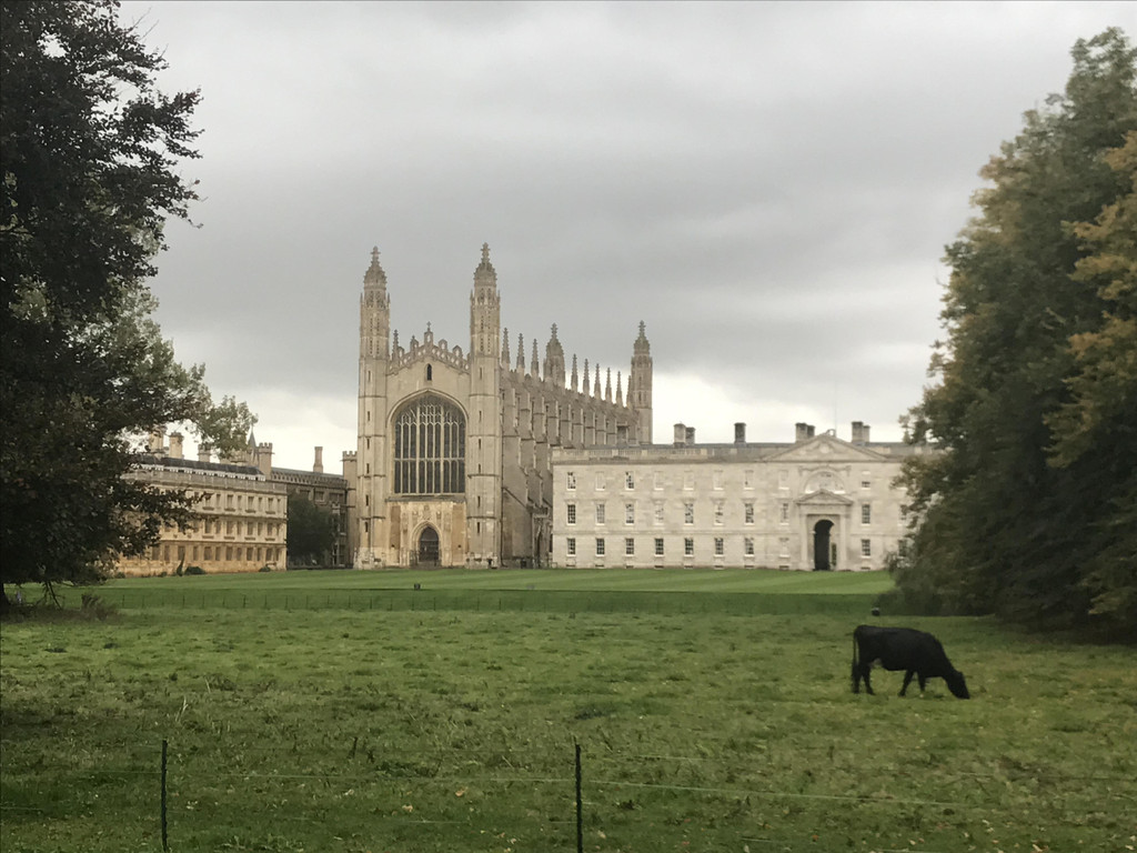 kings college