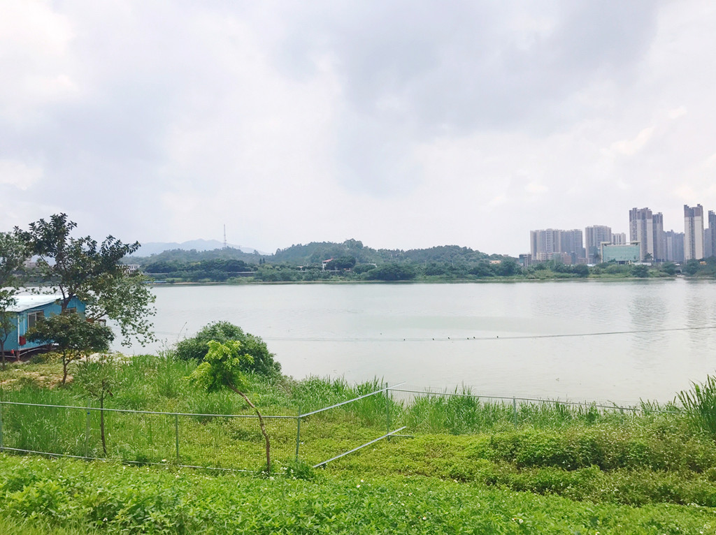 佛山西樵平沙岛