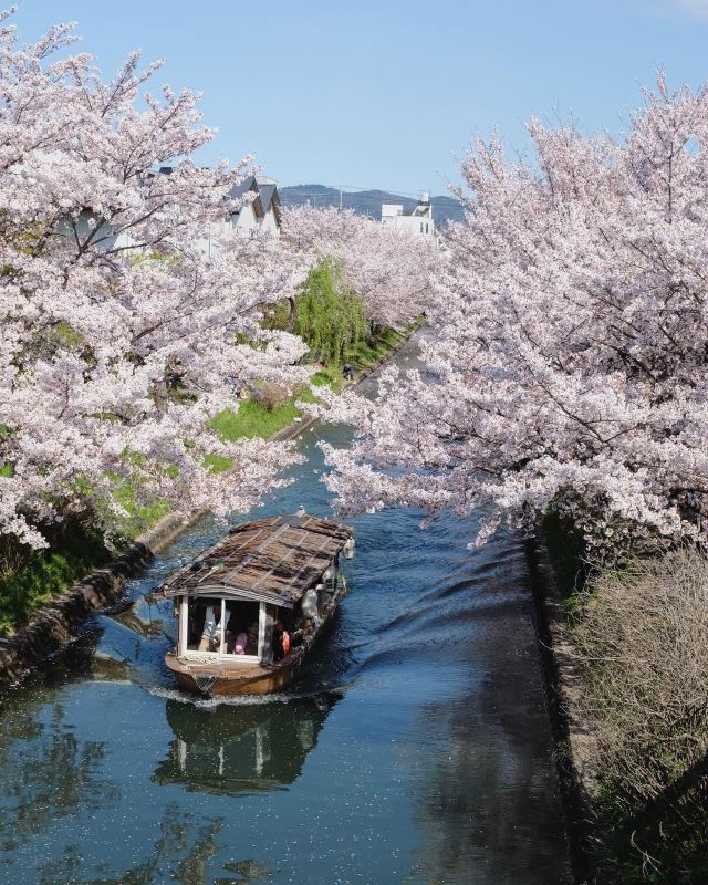 伏见桃山陵