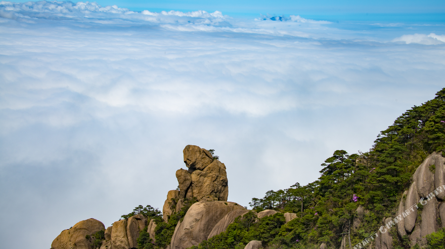 江西三清山 婺源3日2晚私家团