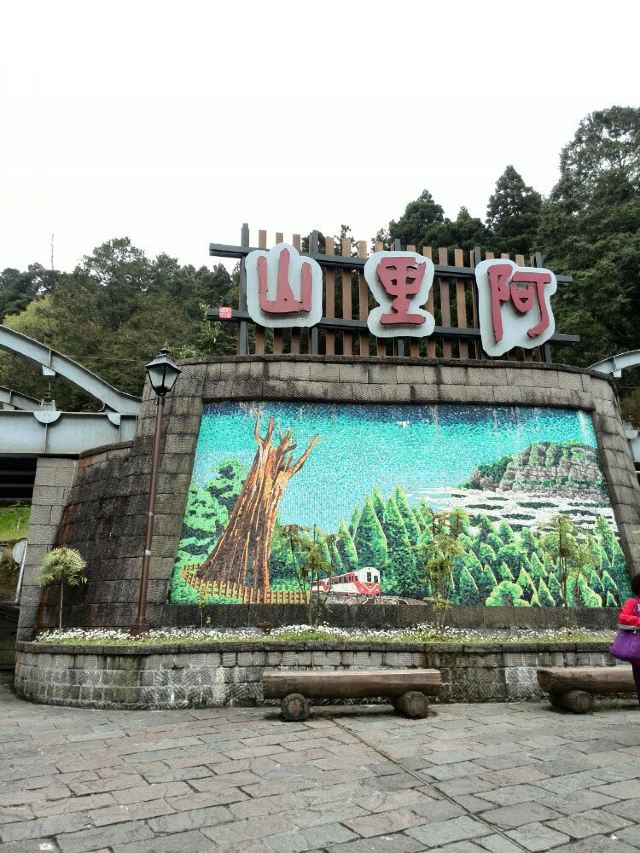 台湾阿里山赏樱日月潭游玩8日游