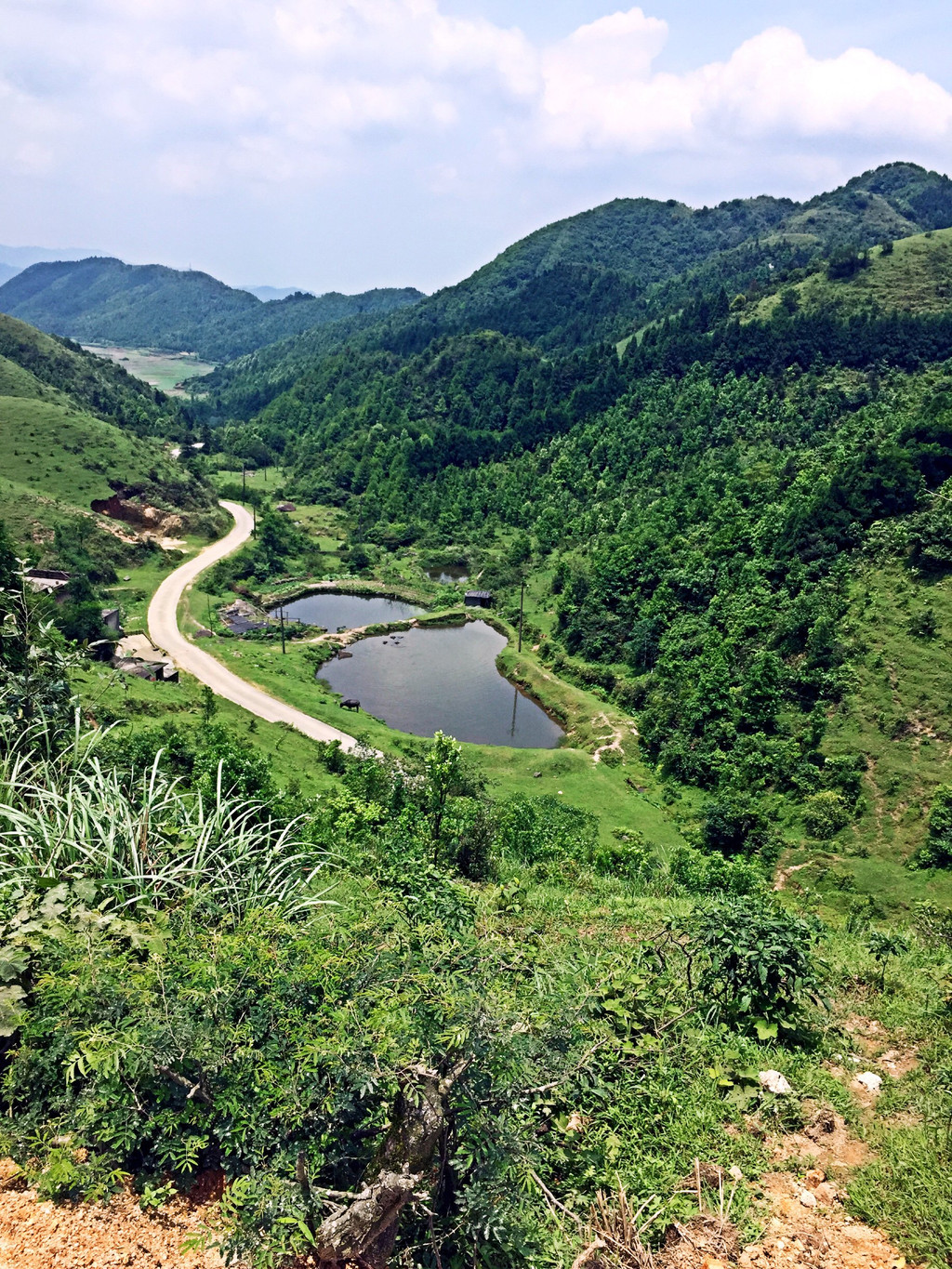 广西容县大容山森林公园.