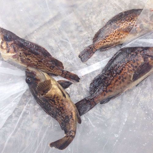 我要从南走到北 - 威海游记攻略【携程攻略】