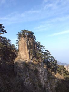 白鹅岭-黄山风景区-_cft01*8591313