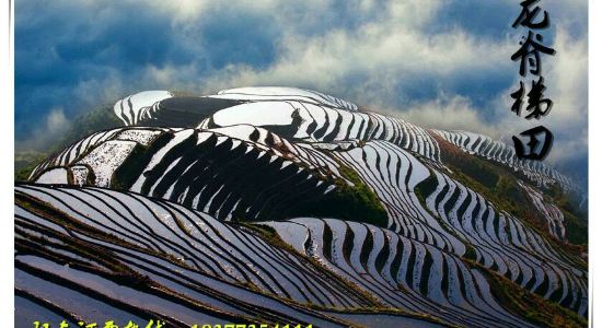 【携程攻略】桂林旅游包车,旅游线路策划-用车