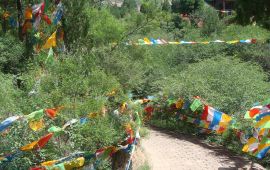 忻州五峰山天气预报,历史气温,旅游指数,五峰山