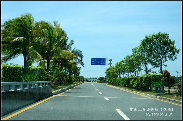 海棠湾的马路属于路广车稀类型.