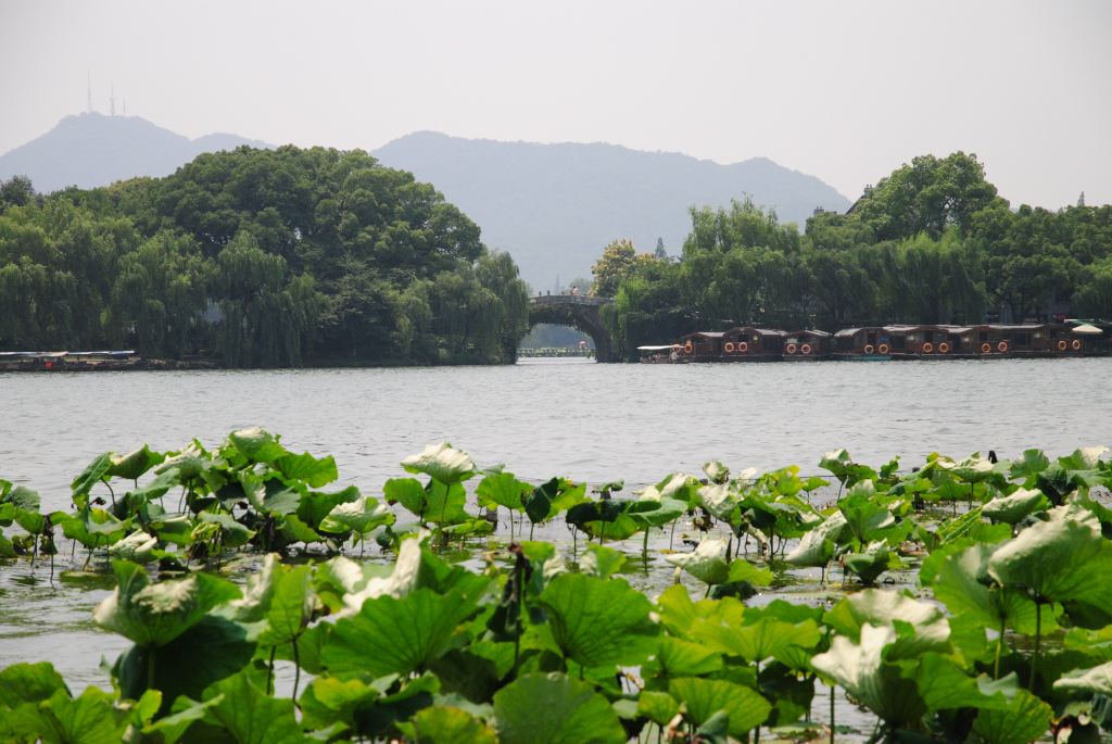 初夏杭州行,西湖美景六月天的3日半漫游记