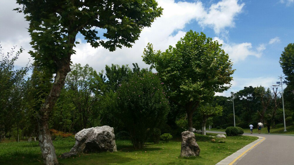 贵阳观山湖湿地公园,蓝天白云湖边散步惬意啊,我太爱这样的天空和气息