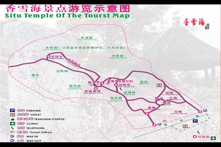 【印象光福香雪海】