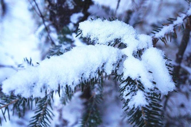 无处不在的美景-白雪皑皑de九寨沟