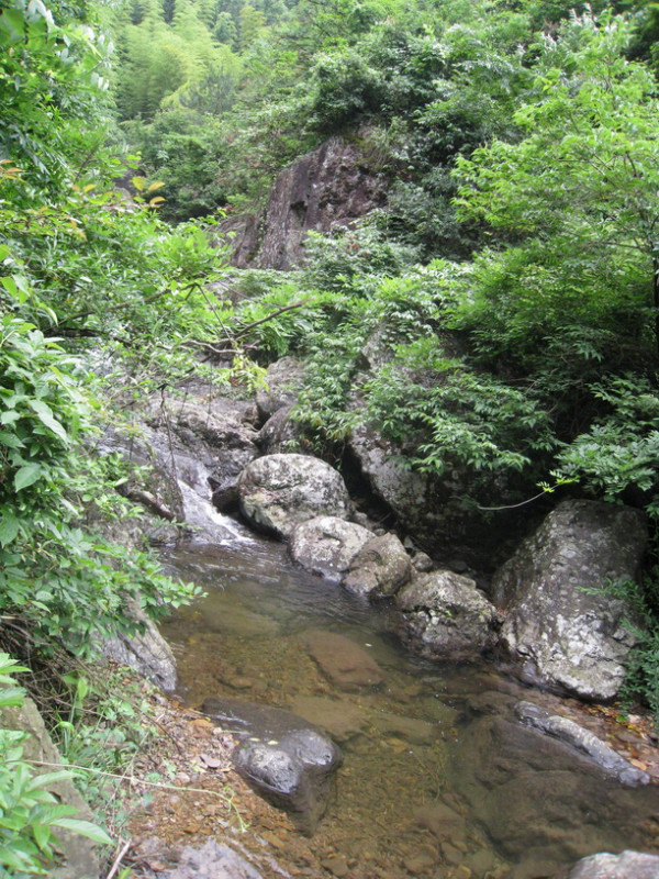 磐安大盘山花溪户外出行