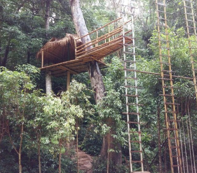 树上木屋,不知道是否还可以住人.