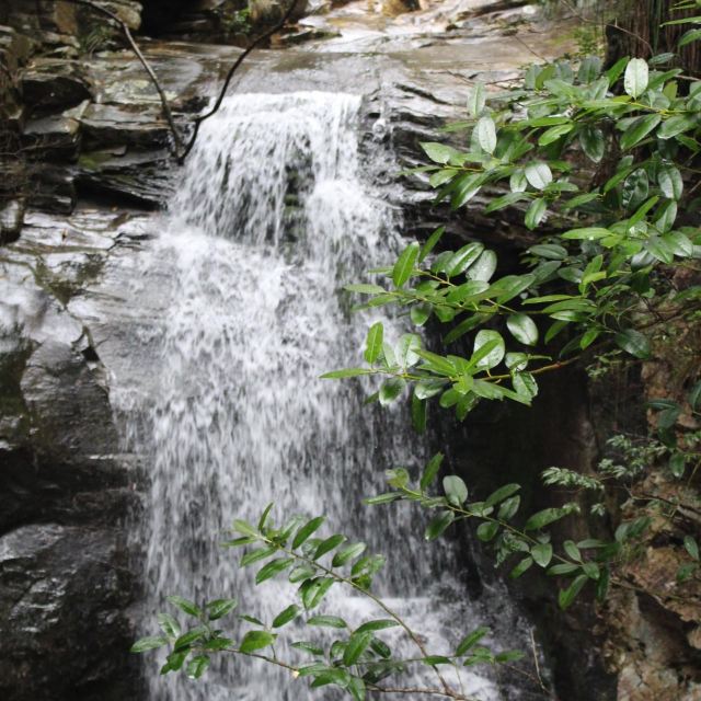 牯牛降风景区--神奇瑰丽的山水风光