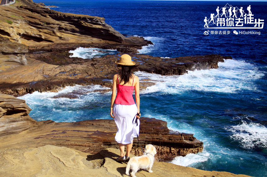 夏威夷欧胡岛拉奈观景台lanai lookout,波涛汹涌的海岸( 图)