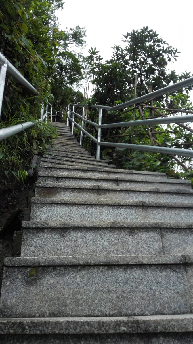 肇庆北岭山森林公园—徒步