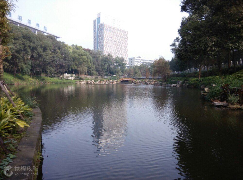 西南大学-风景图